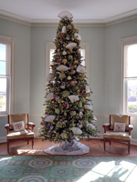 Come see the 2023 Holiday tree at Laurel Hill Mansion.  The house is open Thrusday through Sunday from 10:00AM to 4:00PM