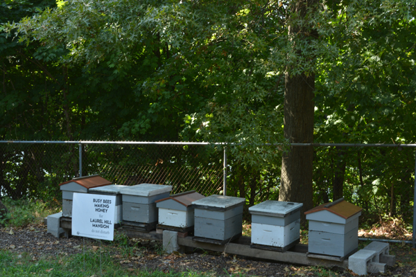 Beehives at Laurel Hill Mansion